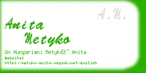 anita metyko business card